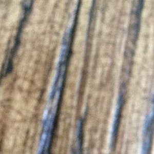 Meet your Posher, Lillian